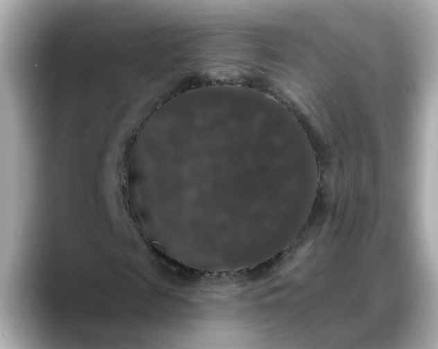 X0000088430817200706051228