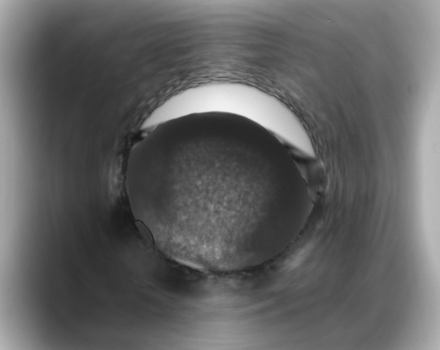 X0000088430818200706051228