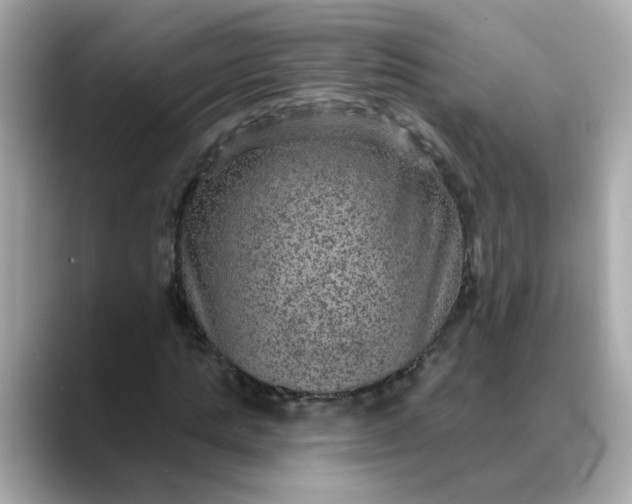 X0000088430821200706051228