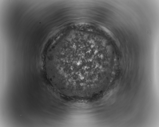 X0000088430823200706051228