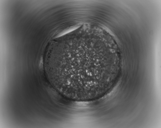 X0000088430825200706051228