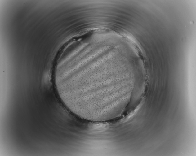 X0000088430826200706051228