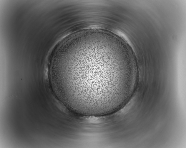 X0000088430827200706051228