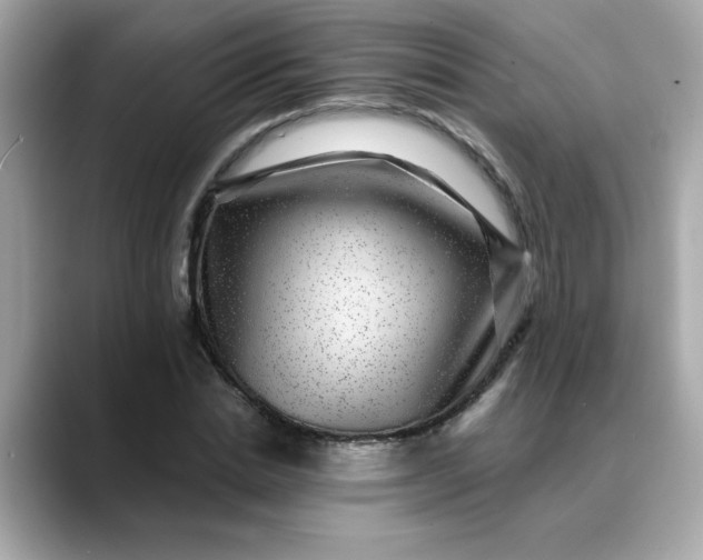 X0000088430830200706051228