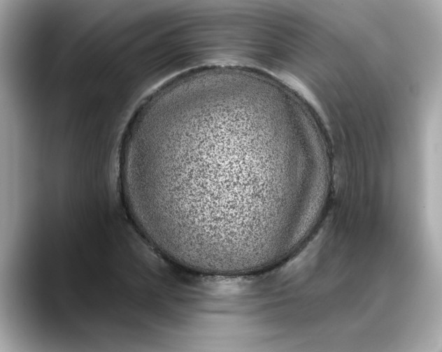 X0000088430831200706051228