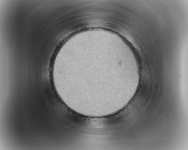 X0000088430832200706051228