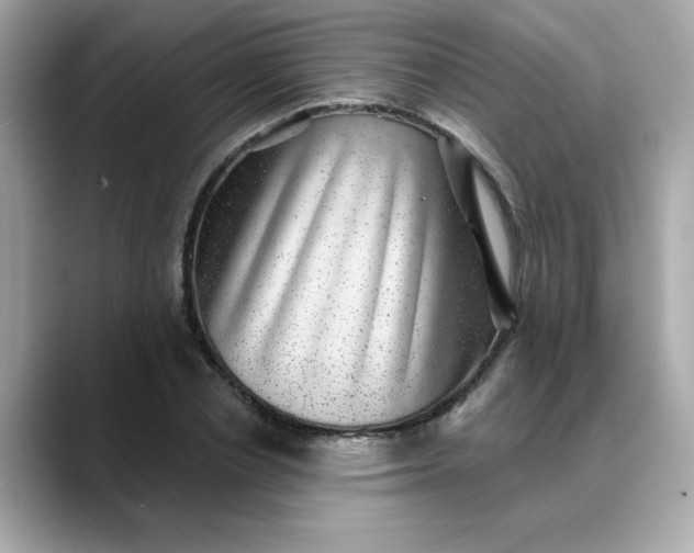 X0000088430834200706051228