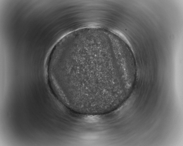 X0000088430835200706051228