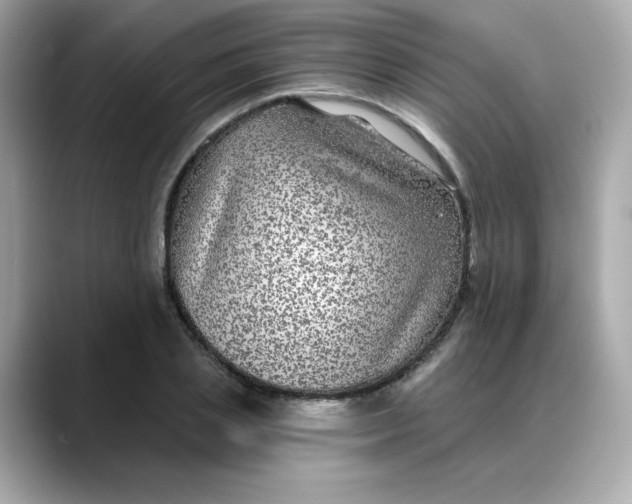 X0000088430837200706051228