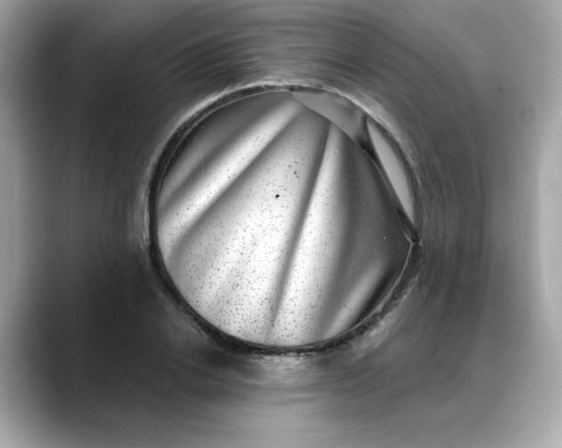 X0000088430838200706051228