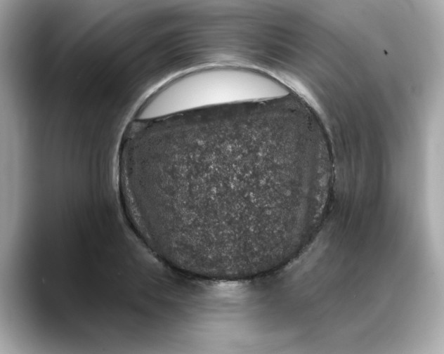 X0000088430839200706051228