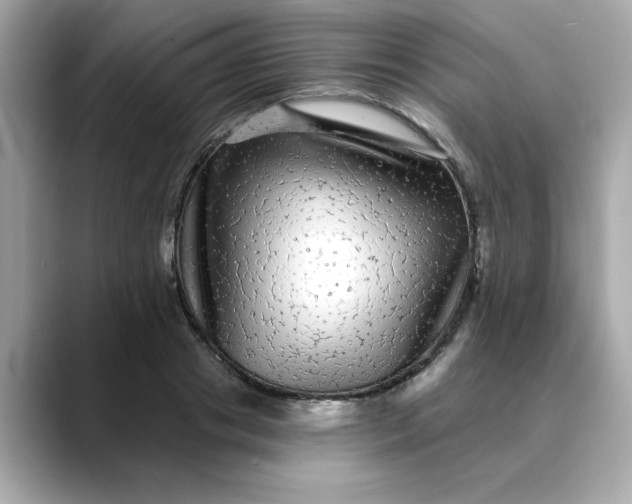 X0000088430841200706051228