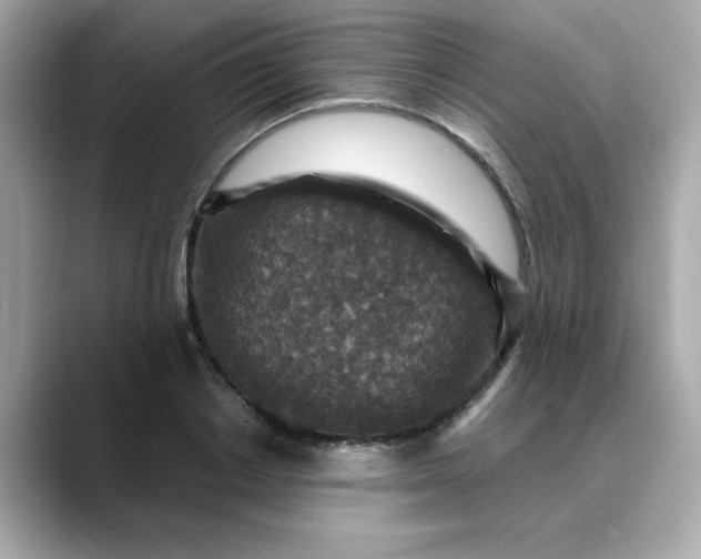 X0000088430842200706051228