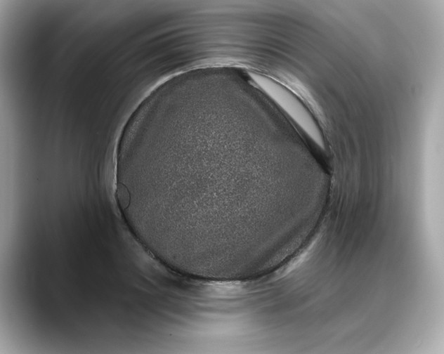 X0000088430844200706051228