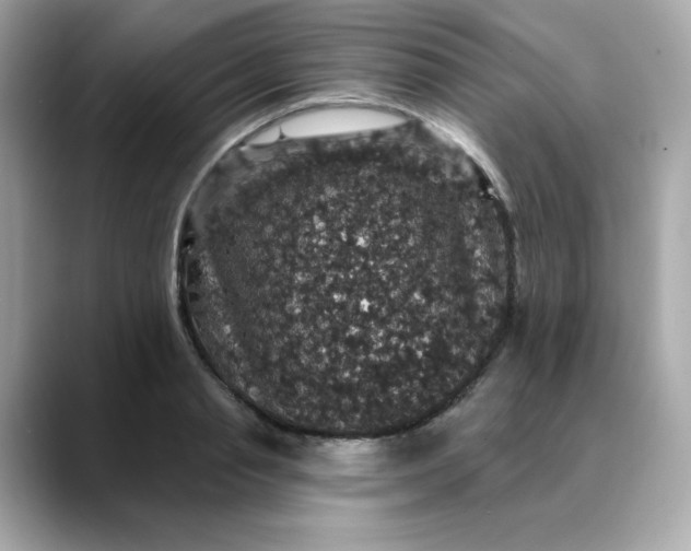 X0000088430845200706051228