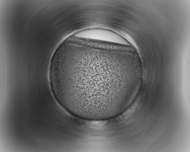 X0000088430847200706051229