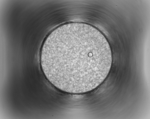 X0000088430848200706051229