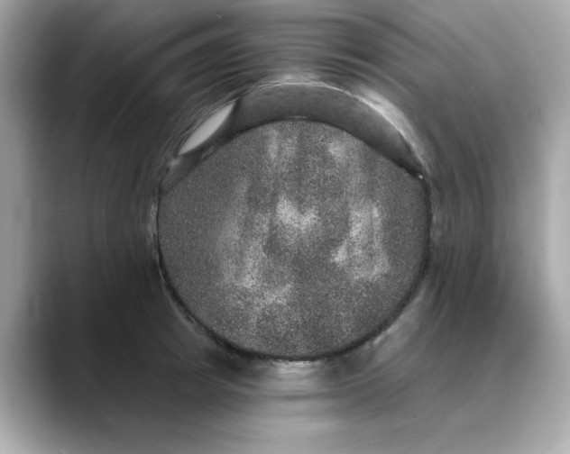 X0000088430849200706051229