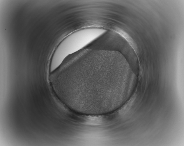 X0000088430850200706051229