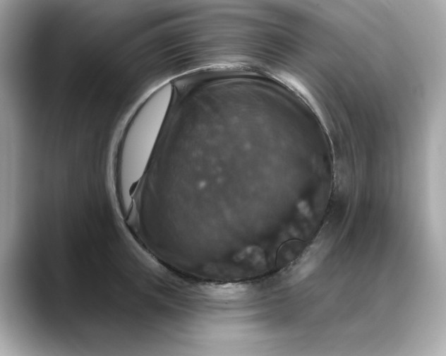 X0000088430851200706051229