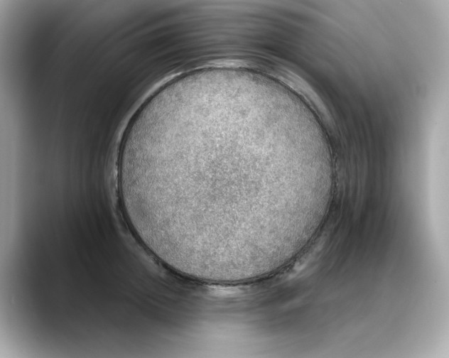 X0000088430852200706051229