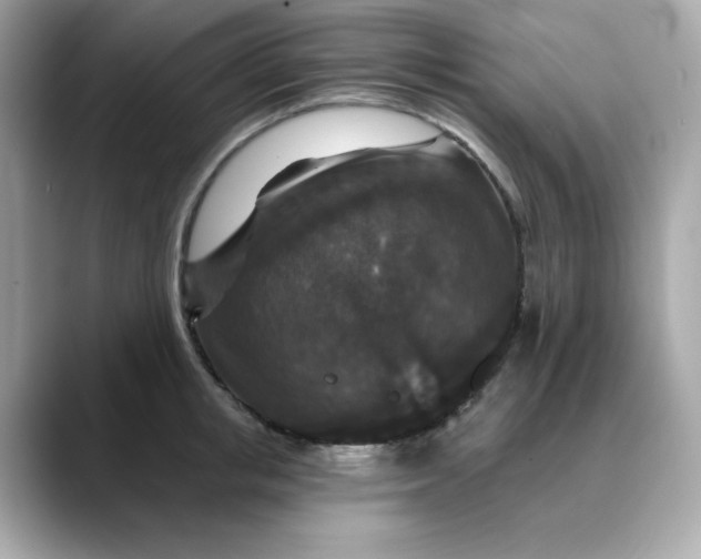 X0000088430853200706051229