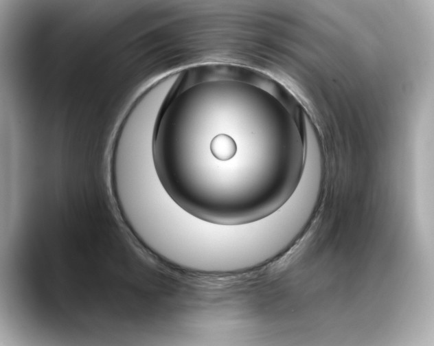 X0000088430854200706051229