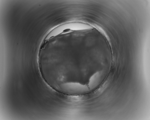 X0000088430855200706051229