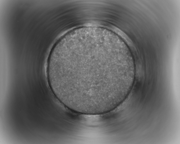 X0000088430856200706051229