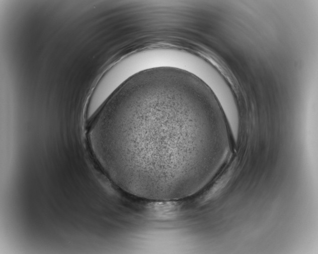 X0000088430858200706051229