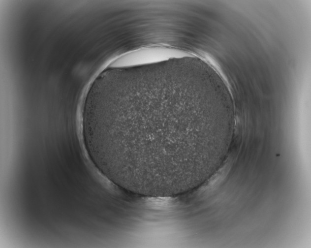 X0000088430859200706051229