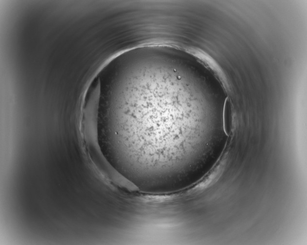 X0000088430860200706051229