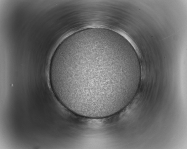 X0000088430861200706051229