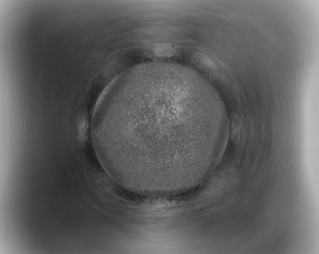 X0000088430866200706051228