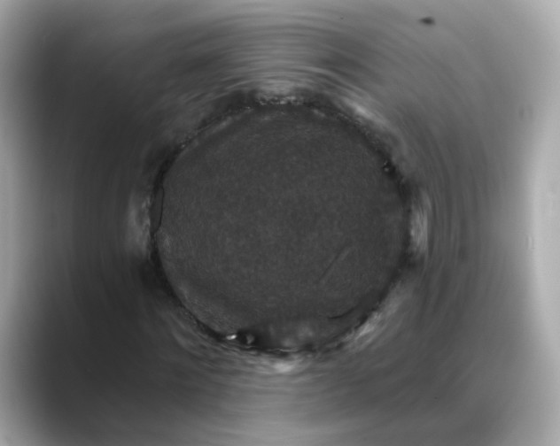 X0000088430868200706051228