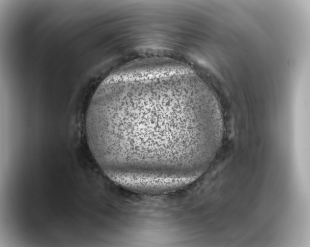 X0000088430870200706051228