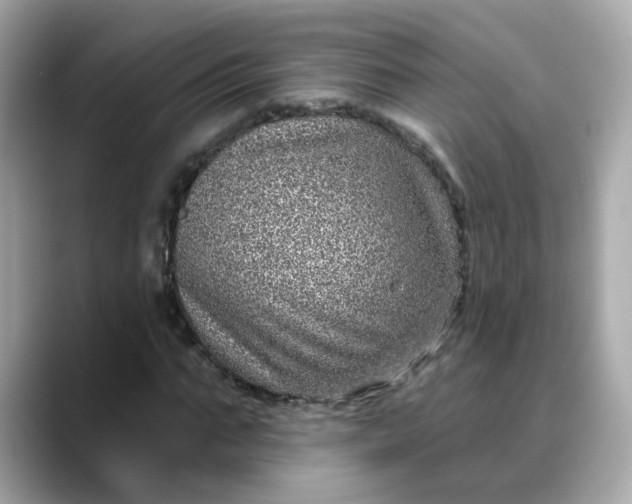 X0000088430871200706051228