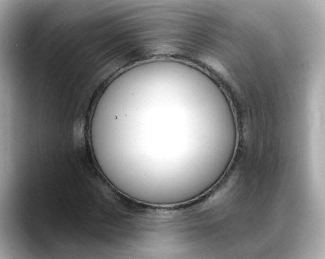 X0000088430873200706051228