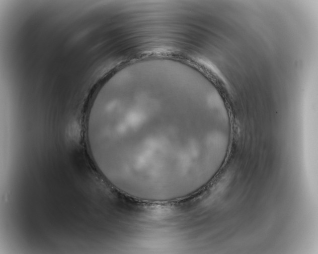 X0000088430874200706051228