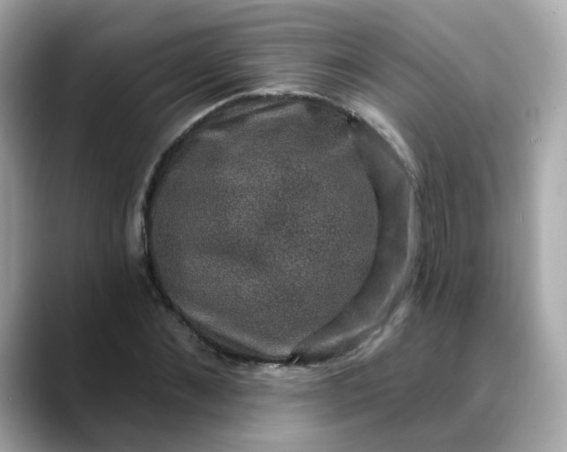 X0000088430876200706051228