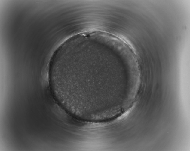 X0000088430877200706051228