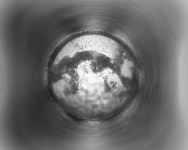 X0000088430878200706051228