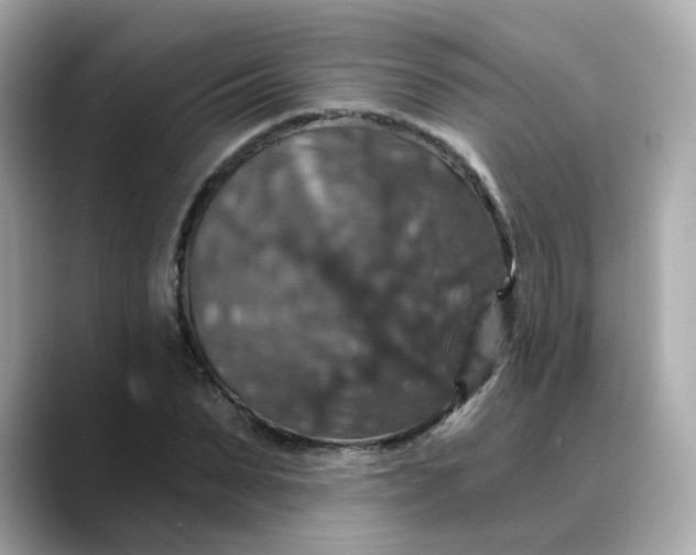 X0000088430879200706051228