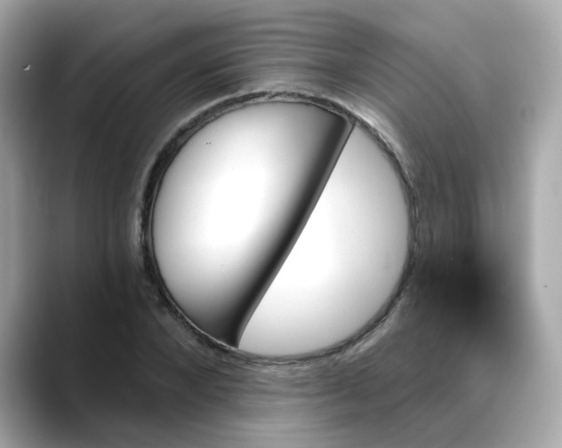 X0000088430880200706051228