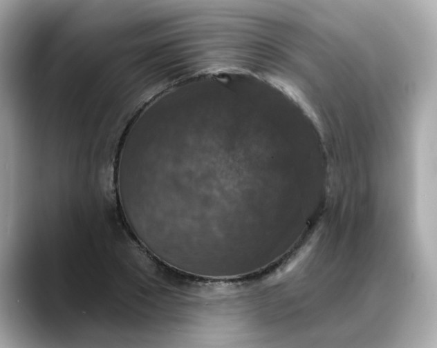 X0000088430881200706051228