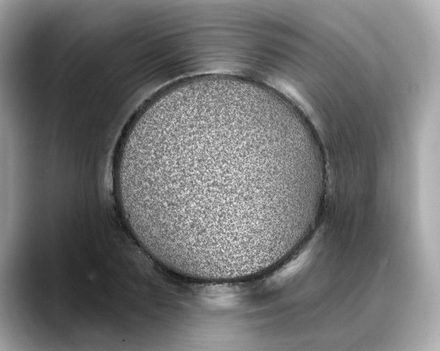 X0000088430883200706051228