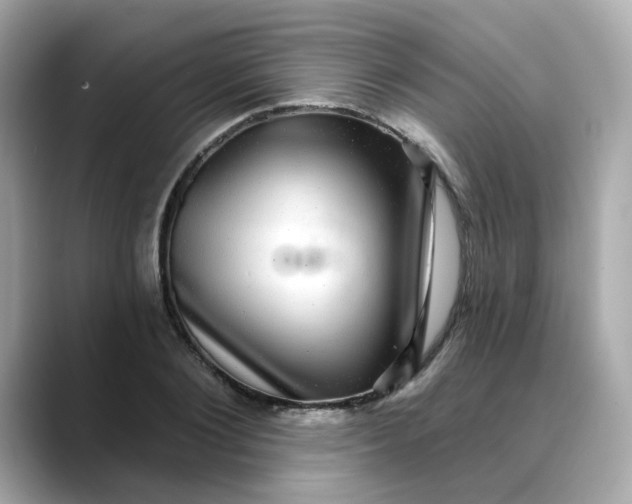 X0000088430884200706051228