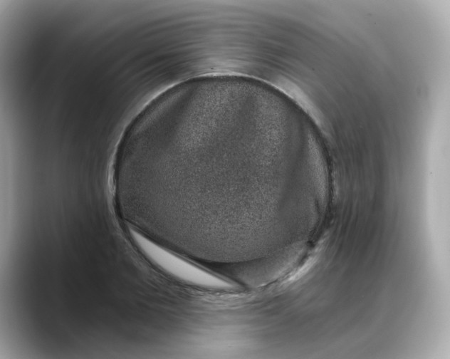 X0000088430885200706051228