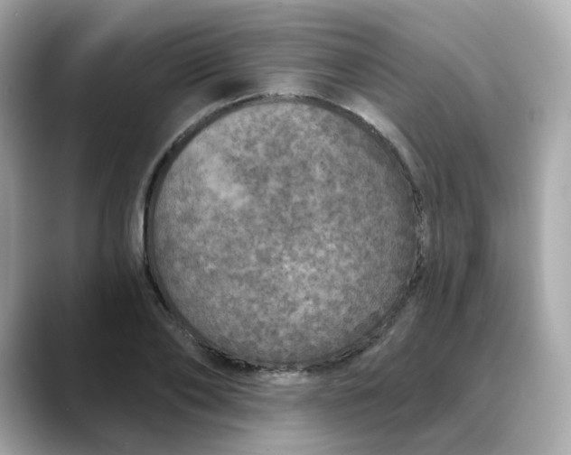 X0000088430886200706051228