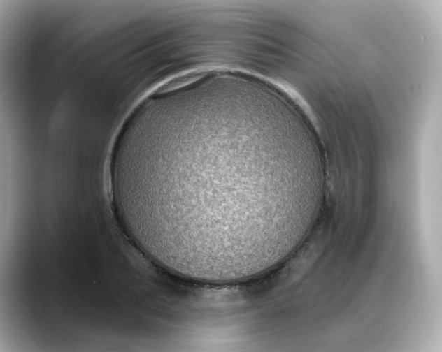 X0000088430887200706051228